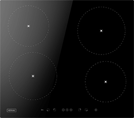 Induktionsfeld Reparatur Saarlouis